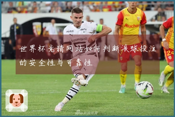 世界杯竞猜网站如何判断滚球投注的安全性与可靠性