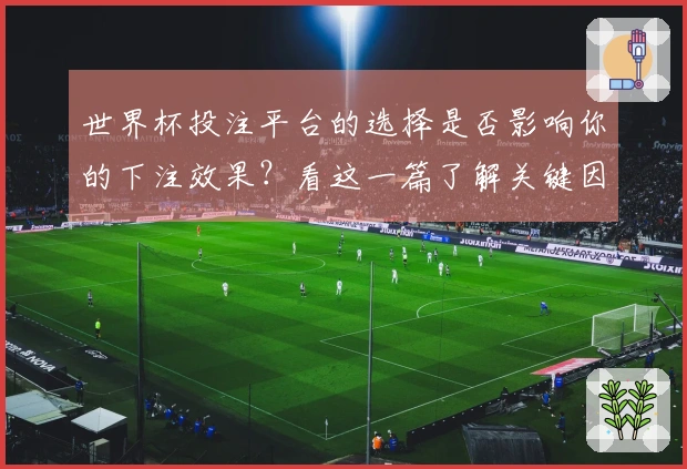 世界杯投注平台的选择是否影响你的下注效果？看这一篇了解关键因素与判断标准