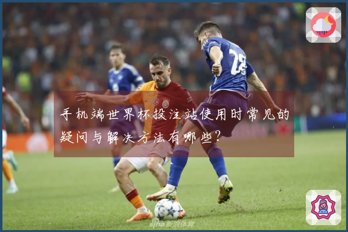 手机端世界杯投注站使用时常见的疑问与解决方法有哪些？